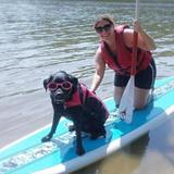 Whitney from Santa Clara | Woman | 37 years old | Leo